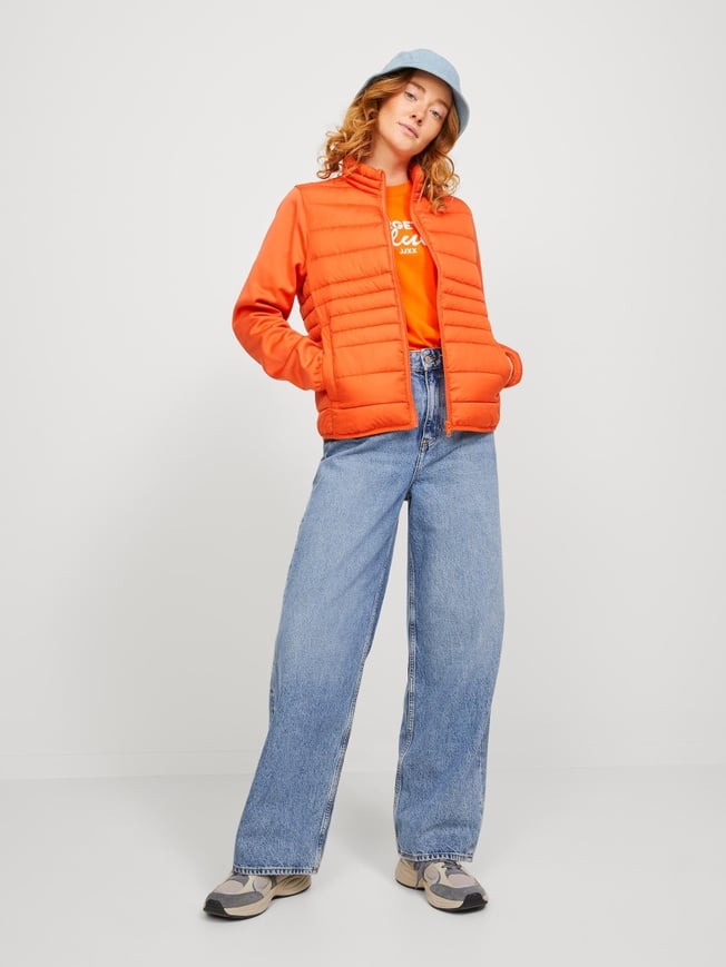 Demisezoninė moteriška striukė